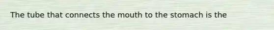 The tube that connects the mouth to the stomach is the