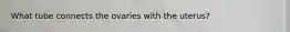 What tube connects the ovaries with the uterus?