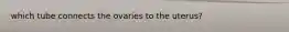 which tube connects the ovaries to the uterus?