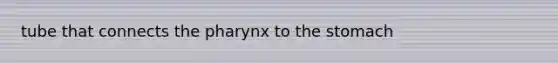 tube that connects the pharynx to the stomach