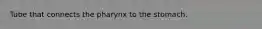 Tube that connects the pharynx to the stomach.