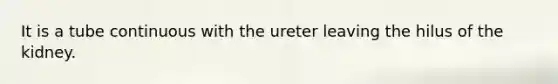 It is a tube continuous with the ureter leaving the hilus of the kidney.