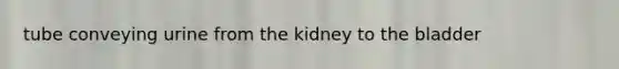 tube conveying urine from the kidney to the bladder