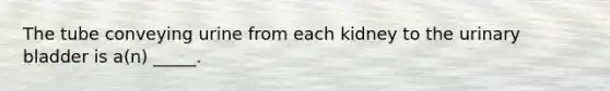 The tube conveying urine from each kidney to the urinary bladder is a(n) _____.