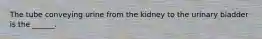 The tube conveying urine from the kidney to the urinary bladder is the ______.
