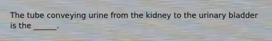 The tube conveying urine from the kidney to the urinary bladder is the ______.