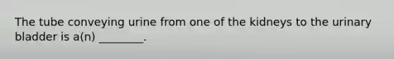 The tube conveying urine from one of the kidneys to the urinary bladder is a(n) ________.