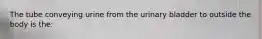 The tube conveying urine from the urinary bladder to outside the body is the: