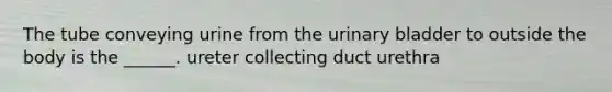 The tube conveying urine from the urinary bladder to outside the body is the ______. ureter collecting duct urethra