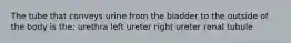The tube that conveys urine from the bladder to the outside of the body is the: urethra left ureter right ureter renal tubule