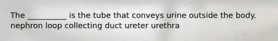 The __________ is the tube that conveys urine outside the body. nephron loop collecting duct ureter urethra