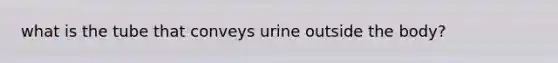 what is the tube that conveys urine outside the body?