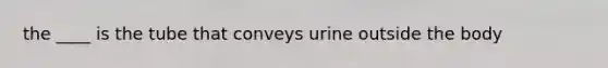 the ____ is the tube that conveys urine outside the body