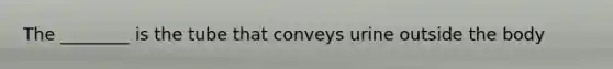 The ________ is the tube that conveys urine outside the body