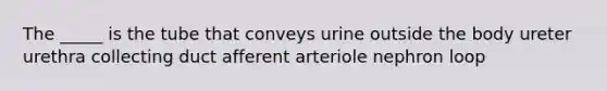 The _____ is the tube that conveys urine outside the body ureter urethra collecting duct afferent arteriole nephron loop