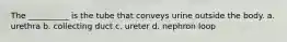 The __________ is the tube that conveys urine outside the body. a. urethra b. collecting duct c. ureter d. nephron loop