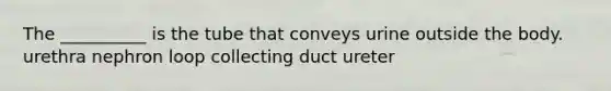 The __________ is the tube that conveys urine outside the body. urethra nephron loop collecting duct ureter