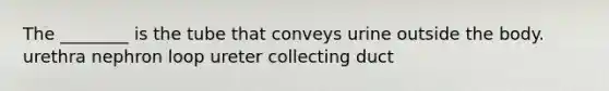 The ________ is the tube that conveys urine outside the body. urethra nephron loop ureter collecting duct