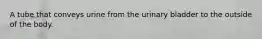A tube that conveys urine from the urinary bladder to the outside of the body.