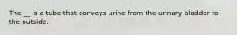 The __ is a tube that conveys urine from the urinary bladder to the outside.