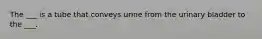 The ___ is a tube that conveys urine from the urinary bladder to the ___.