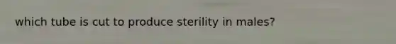 which tube is cut to produce sterility in males?