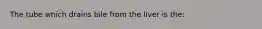 The tube which drains bile from the liver is the: