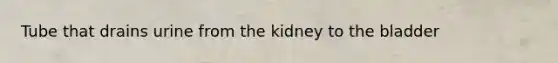 Tube that drains urine from the kidney to the bladder