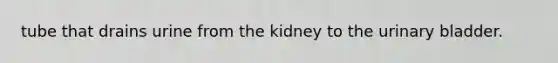 tube that drains urine from the kidney to the <a href='https://www.questionai.com/knowledge/kb9SdfFdD9-urinary-bladder' class='anchor-knowledge'>urinary bladder</a>.