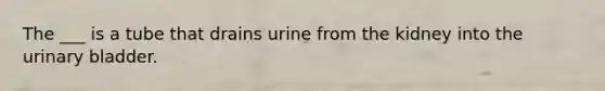 The ___ is a tube that drains urine from the kidney into the urinary bladder.