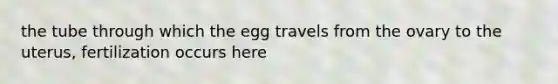 the tube through which the egg travels from the ovary to the uterus, fertilization occurs here