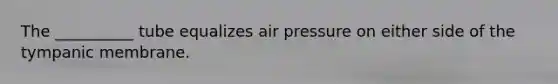 The __________ tube equalizes air pressure on either side of the tympanic membrane.