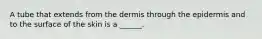 A tube that extends from the dermis through the epidermis and to the surface of the skin is a ______.