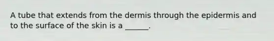 A tube that extends from the dermis through the epidermis and to the surface of the skin is a ______.