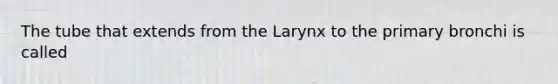 The tube that extends from the Larynx to the primary bronchi is called