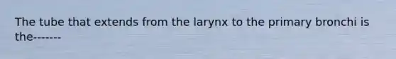 The tube that extends from the larynx to the primary bronchi is the-------