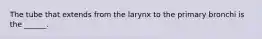 The tube that extends from the larynx to the primary bronchi is the ______.