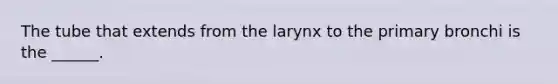 The tube that extends from the larynx to the primary bronchi is the ______.