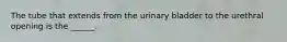 The tube that extends from the urinary bladder to the urethral opening is the ______.