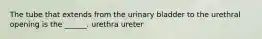 The tube that extends from the urinary bladder to the urethral opening is the ______. urethra ureter