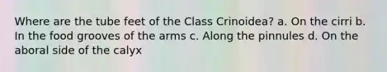 Where are the tube feet of the Class Crinoidea? a. On the cirri b. In the food grooves of the arms c. Along the pinnules d. On the aboral side of the calyx