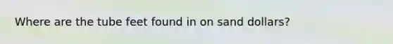 Where are the tube feet found in on sand dollars?