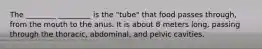 The ________ _________ is the "tube" that food passes through, from the mouth to the anus. It is about 8 meters long, passing through the thoracic, abdominal, and pelvic cavities.