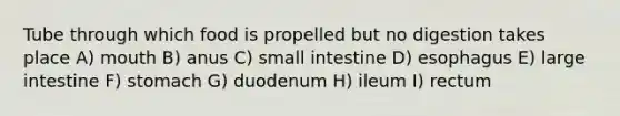 Tube through which food is propelled but no digestion takes place A) mouth B) anus C) small intestine D) esophagus E) large intestine F) stomach G) duodenum H) ileum I) rectum