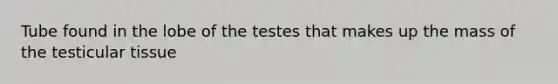 Tube found in the lobe of the testes that makes up the mass of the testicular tissue