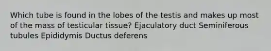 Which tube is found in the lobes of the testis and makes up most of the mass of testicular tissue? Ejaculatory duct Seminiferous tubules Epididymis Ductus deferens