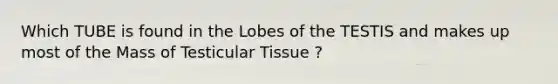 Which TUBE is found in the Lobes of the TESTIS and makes up most of the Mass of Testicular Tissue ?