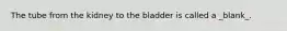 The tube from the kidney to the bladder is called a _blank​_.