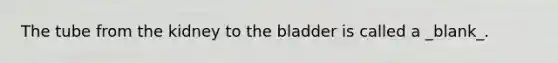 The tube from the kidney to the bladder is called a _blank​_.