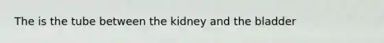 The is the tube between the kidney and the bladder